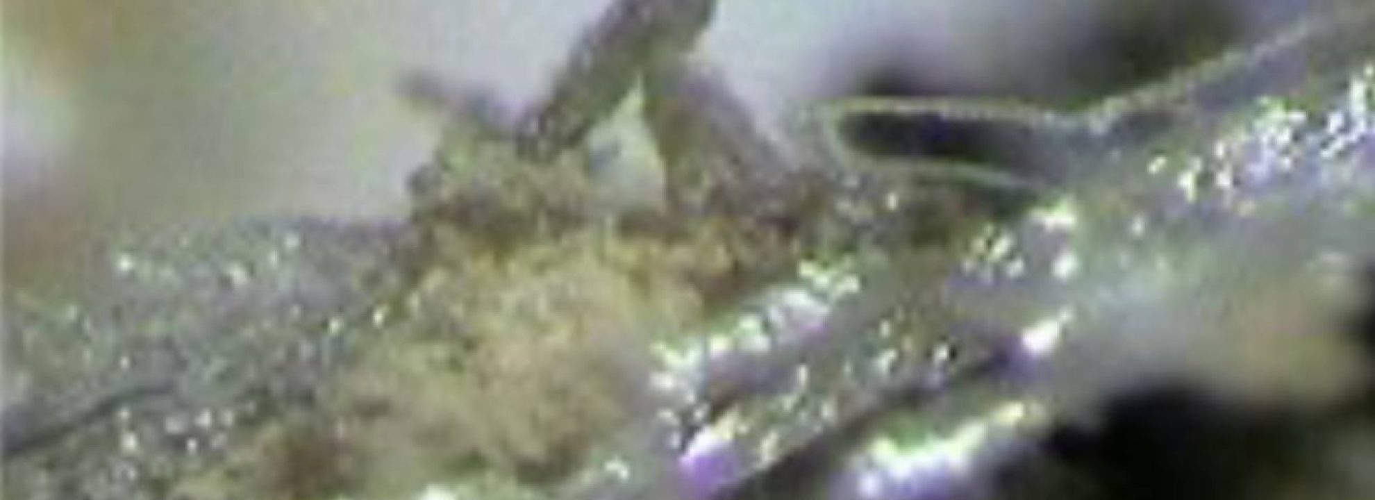 photo_5044247108868836273_y (1)